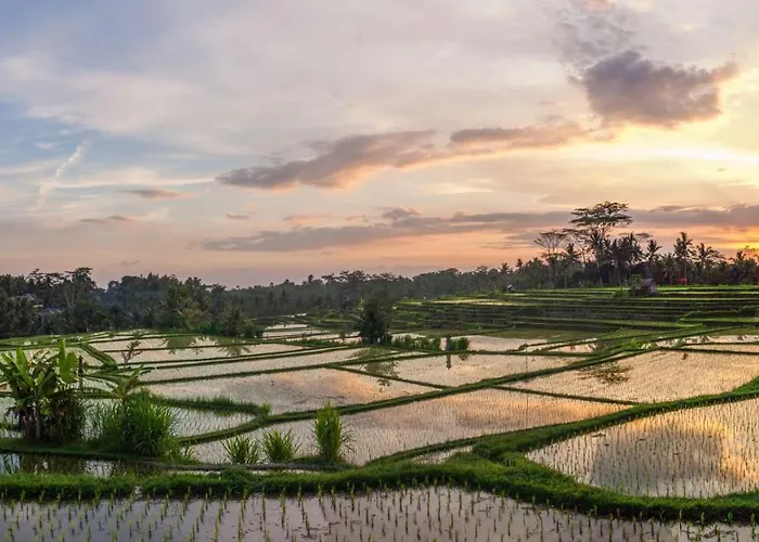 Villa Stanagiri Ubud